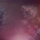 Corona Virus (COVID-19)  - VideoHive Item for Sale