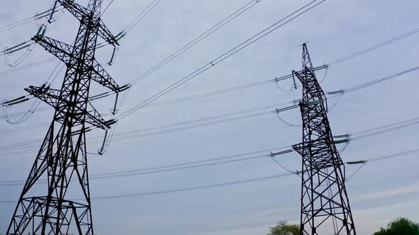 Transmission lines in nature