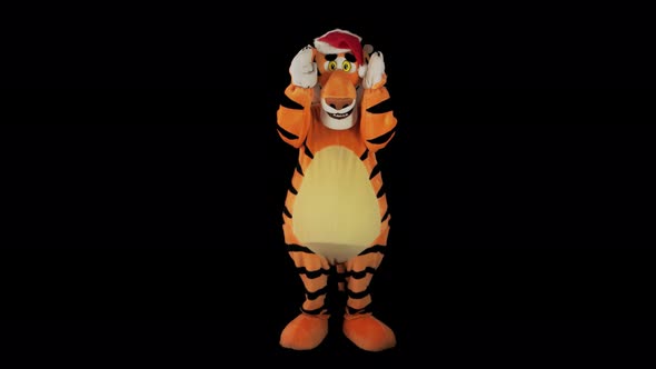 Man in Tiger Costume with Red Hat is Playing with His Paws Covering Eyes