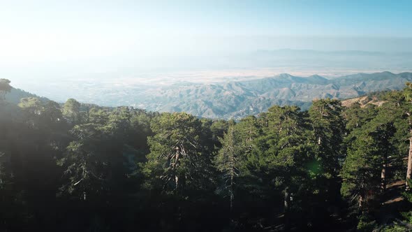 Aerial Sunset Sunrise Over Green Tree Forest Area in Highland Mountain Landscape in Cyprus