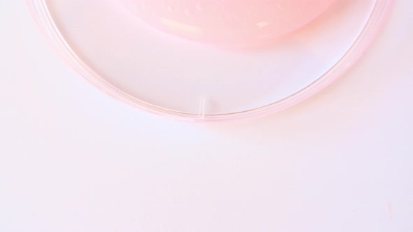 Pink Transparent Cosmetic Gel Cream With Molecule Bubbles Flowing On The Plain White Surface