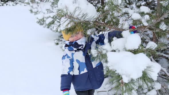 Little playful boy shaking spruce branch in snow, standing under tree enjoying artificial snowfal
