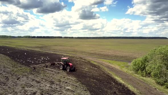 Aerial View Tractor Works in Field and Flock Flies at Harrow