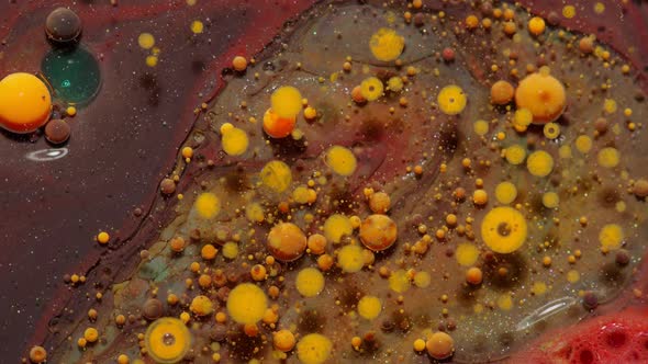 Top View Movement of Orange Oil Ink Drops Bubbles Multicolored Artistic Paint Surface Background