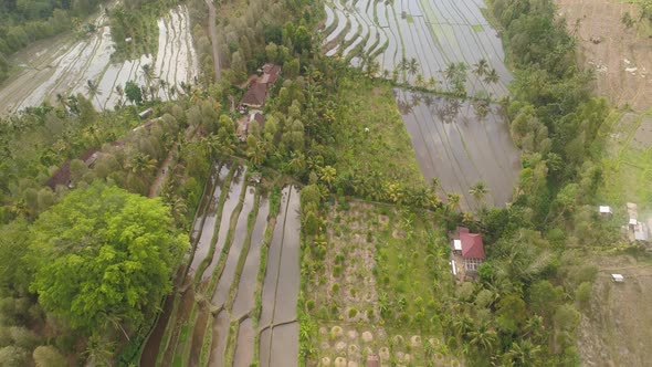 Tropical Landscape with Agricultural Land in Indonesia