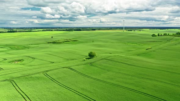 Aerial view of green field in Poland, Europe