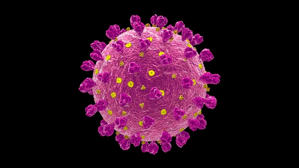 Coronavirus Covid 19 Cell V8 alt