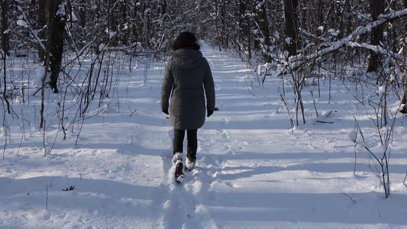 A woman in a gray jacket walks through the winter forest, park