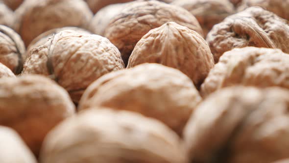 Arranged walnuts in the hard shell  natural organic food 4K 2160p 30fps UltraHD footage - Juglans re
