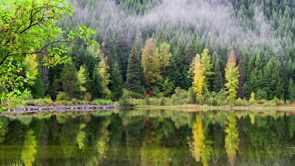 Reflection on Trillium Lake