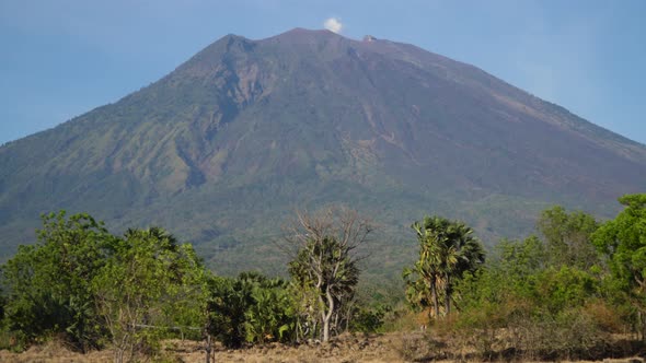 View of Mountain Forest Landscape