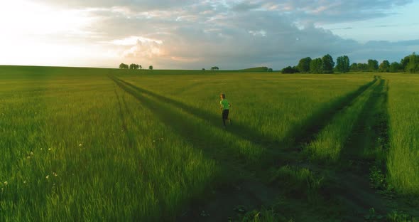 Sporty Child Runs Through a Green Wheat Field