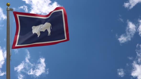 Wyoming State Flag (Usa) On Flagpole