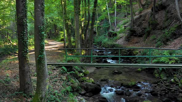 Mountain river flowing over rocks and boulders in forest, Bistriski Vintgar gorge on Pohorje, Sloven