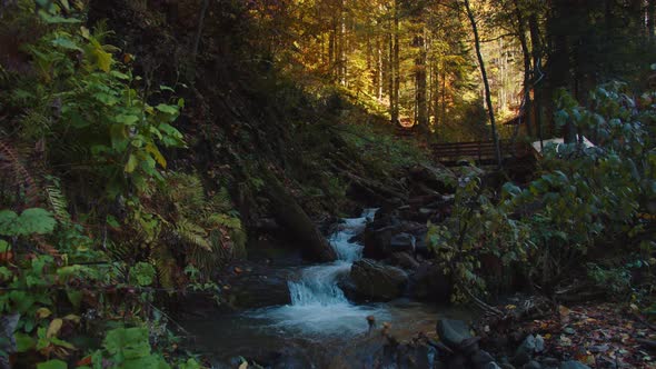 Mountain Stream is Falling Down From the Hill Among Colorful Autumn Landscape