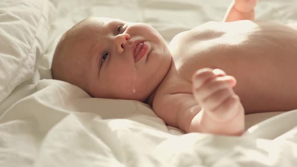 Closeup Portrait a Newborn Girl