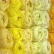 Balls of yellow, orange and gold yarn waiting for knitters to buy them - VideoHive Item for Sale