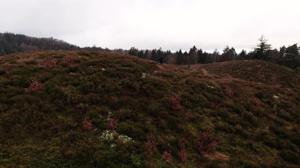 Aerial of a Tourist Hiking Along the Hills in Himmelbjerget Area Denmark