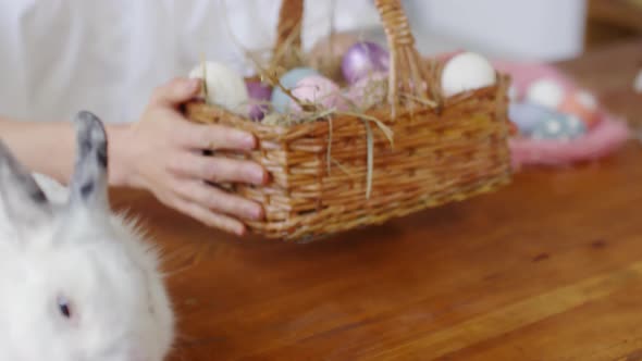 Adorable Bunny and Basket of Easter Eggs