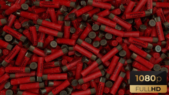 Shotgun Shell Transition alt