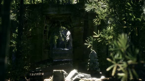 The Ruins of Ancient Buildings in Green Bamboo Forest