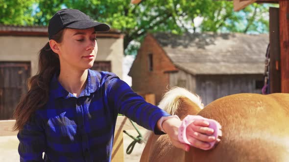 Caretaker Brushing Off Dust From Her Brown Horse Grooming And Cleaning Her Horse