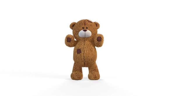 Teddy Bear Explains on White Background 