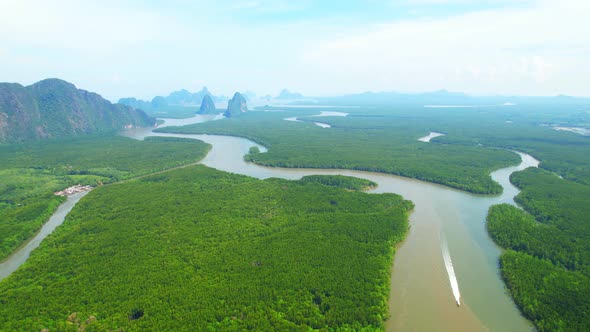 Drones are flying over winding rivers and large mangrove forests