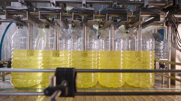 Automatic Line for Filling Bottles with Sunflower Oil