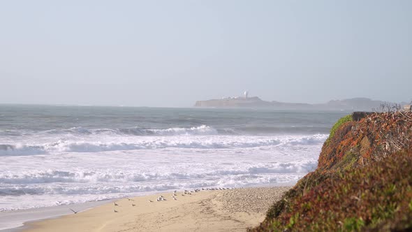 Observing the Pillar Point at the beach in Half Moon Bay, California.