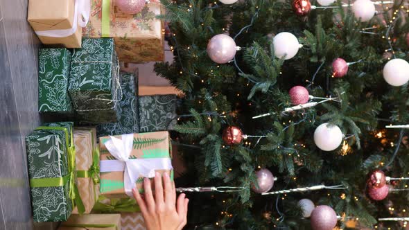 Woman's Hand Preparing Gifts Under the Christmas Tree