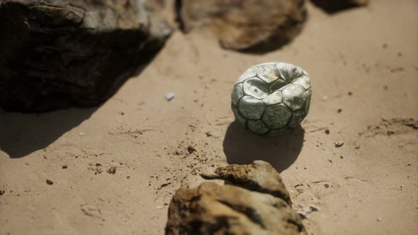 Old Football Ball on the Sand Beach