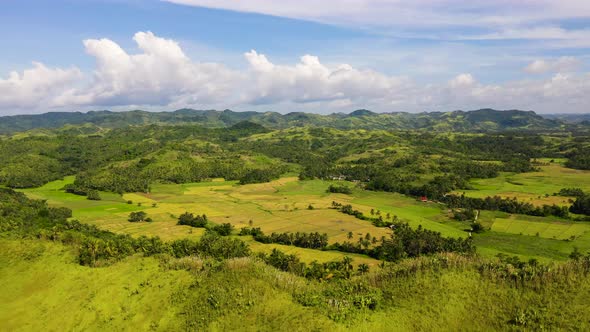 Green Hills and Rice Fields Aerial View