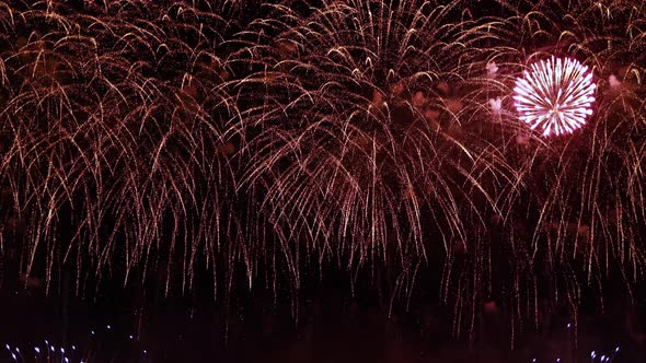 Colorful Fireworks Exploding in the Night Sky