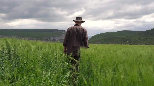 A Farmer in a Wheat Field