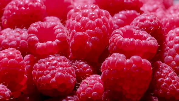 Berries Dolly Shot