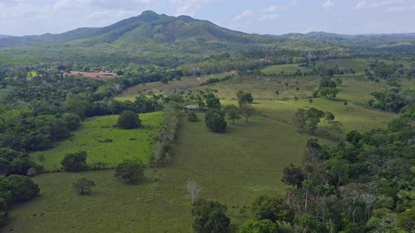 Aerial backwards shot of exotic nature landscape of Bayaguana during sunlight - Growing plants ,bush