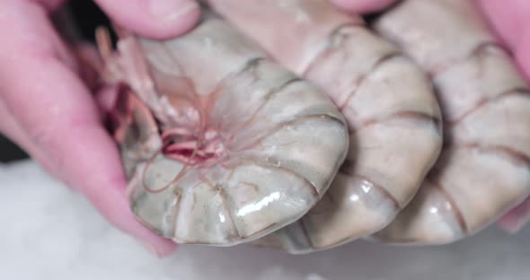 Image Of Hands Holding Frozen Shrimps From Seafood Market. - Macro Shot