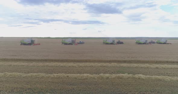 Aerial of combines harvesting