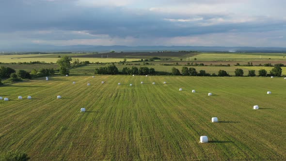 Aerial View On Farm Fields With Baled Hay 