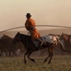Horseman Galloping - VideoHive Item for Sale