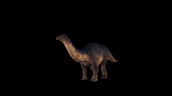 Dinosaur - Brontosaurus Idle