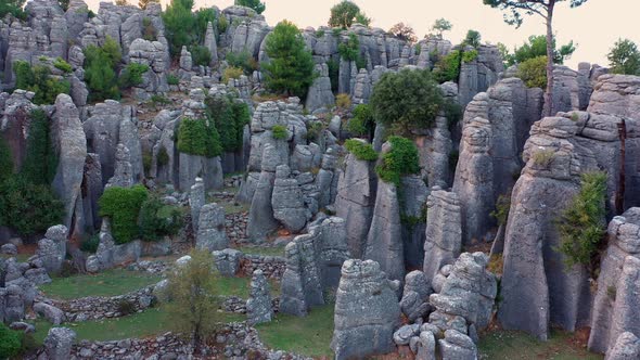 Landscape Scenery with Gray Rock Formations and Evergreen Lushes