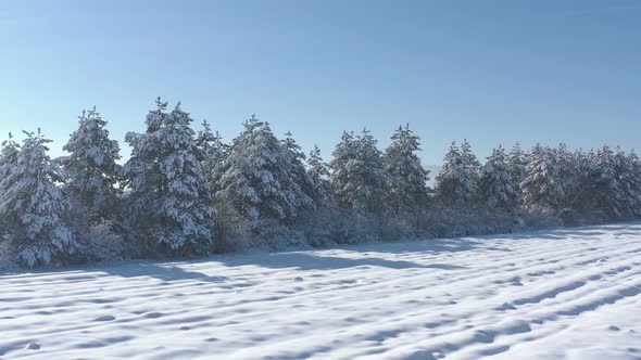 Morning sun shadows over the snowed field 4K aerial video