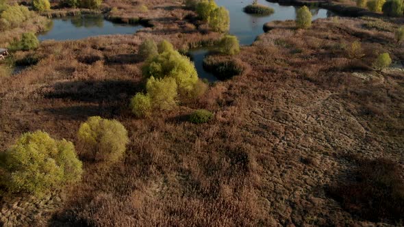 Delta reservation biosphere aerial shoot