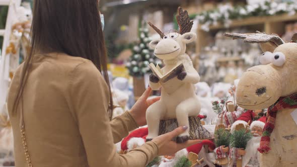 Brunette Holds Brown Statuette of Deer with Book in Store