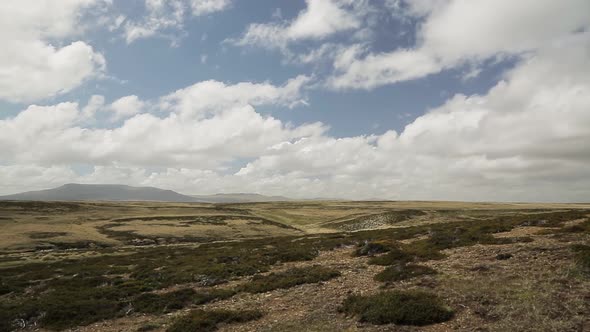 Typical landscape, East Falklands, Falkland Islands, South Atlantic.