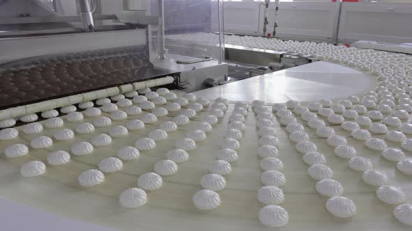 Conveyor with a Lot of White Marshmallows Entering the Installation for Chocolate Coating
