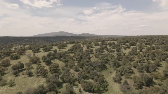 Drone shot of Spanish green countryside