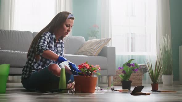 Woman Is Planting Houseplant and Talking With Friend Online